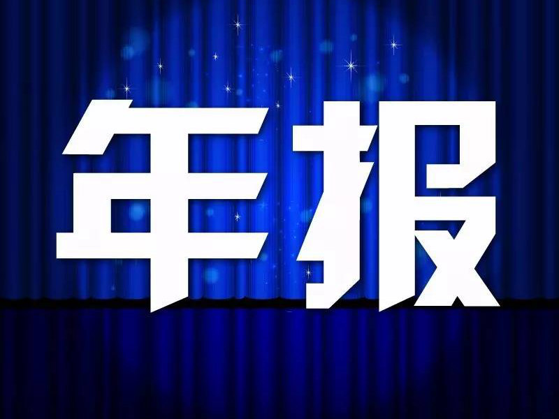 四川省税务师行业2019年度年报分析