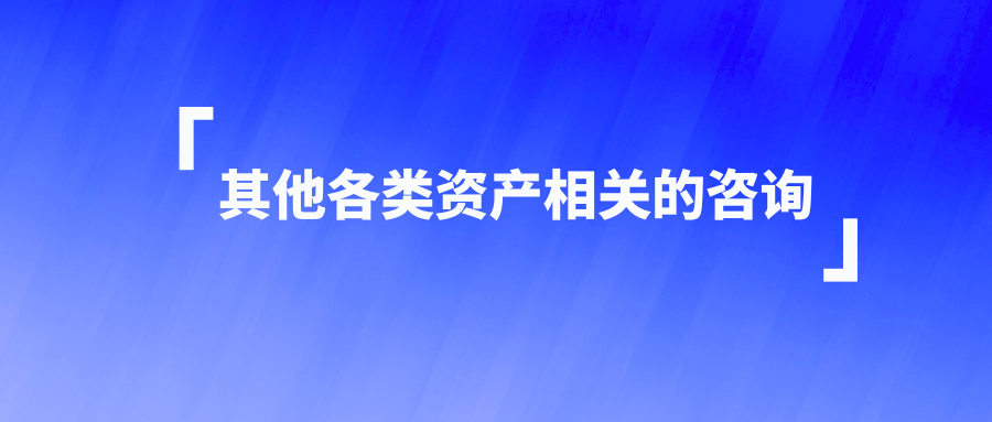 其他各类资产相关的咨询